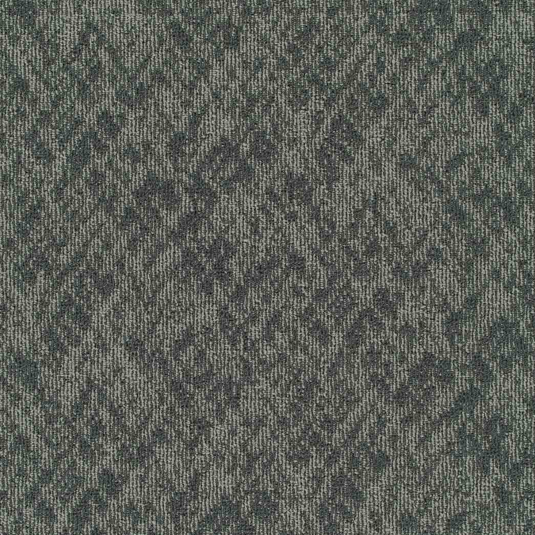Pentz Carpet Tile Homepage 7552T Filter 3536
