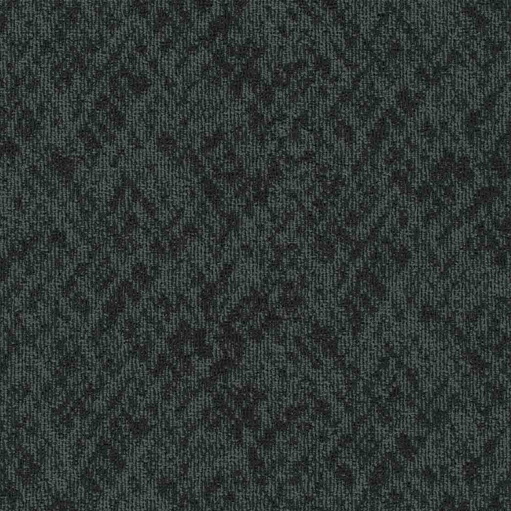 Pentz Carpet Tile Homepage 7552T Search 3537