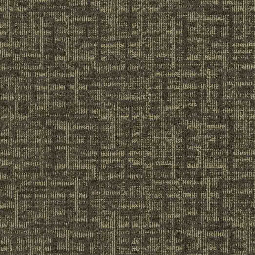 Pentz Carpet Tile Hyperlink 7551T Cookies 3542