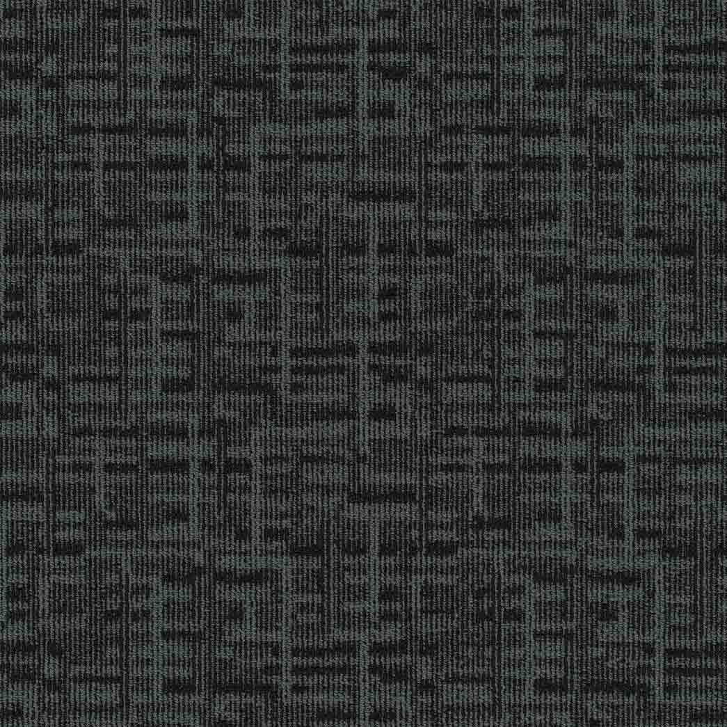 Pentz Carpet Tile Hyperlink 7551T Hosting 3538