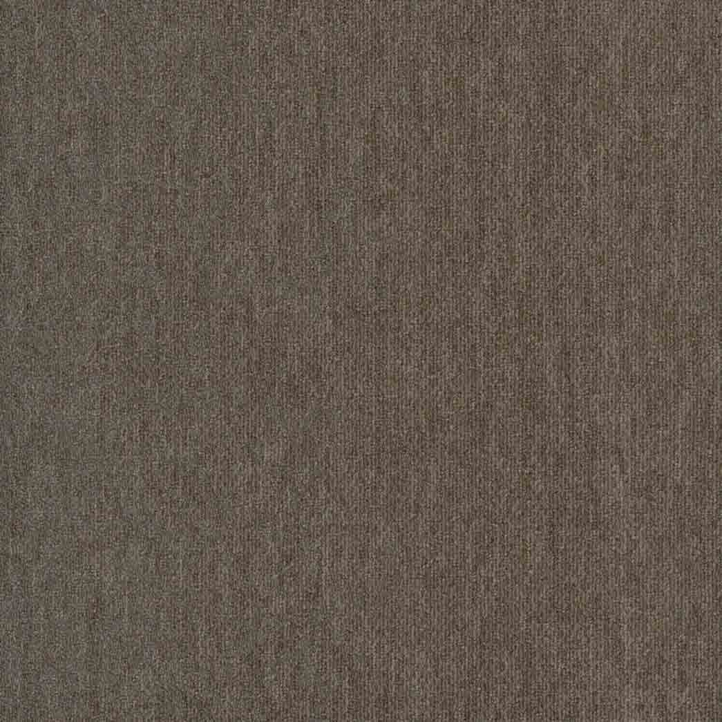 Pentz Carpet Tile Hypnotic Modular 7910T Numbing 3466