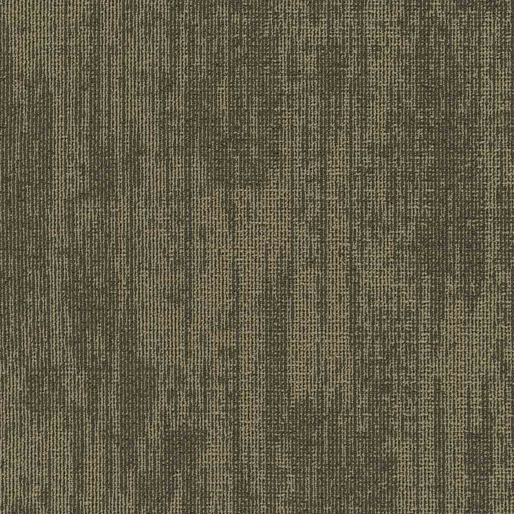 Pentz Carpet Tile Podcast 7553T Cookies 3542