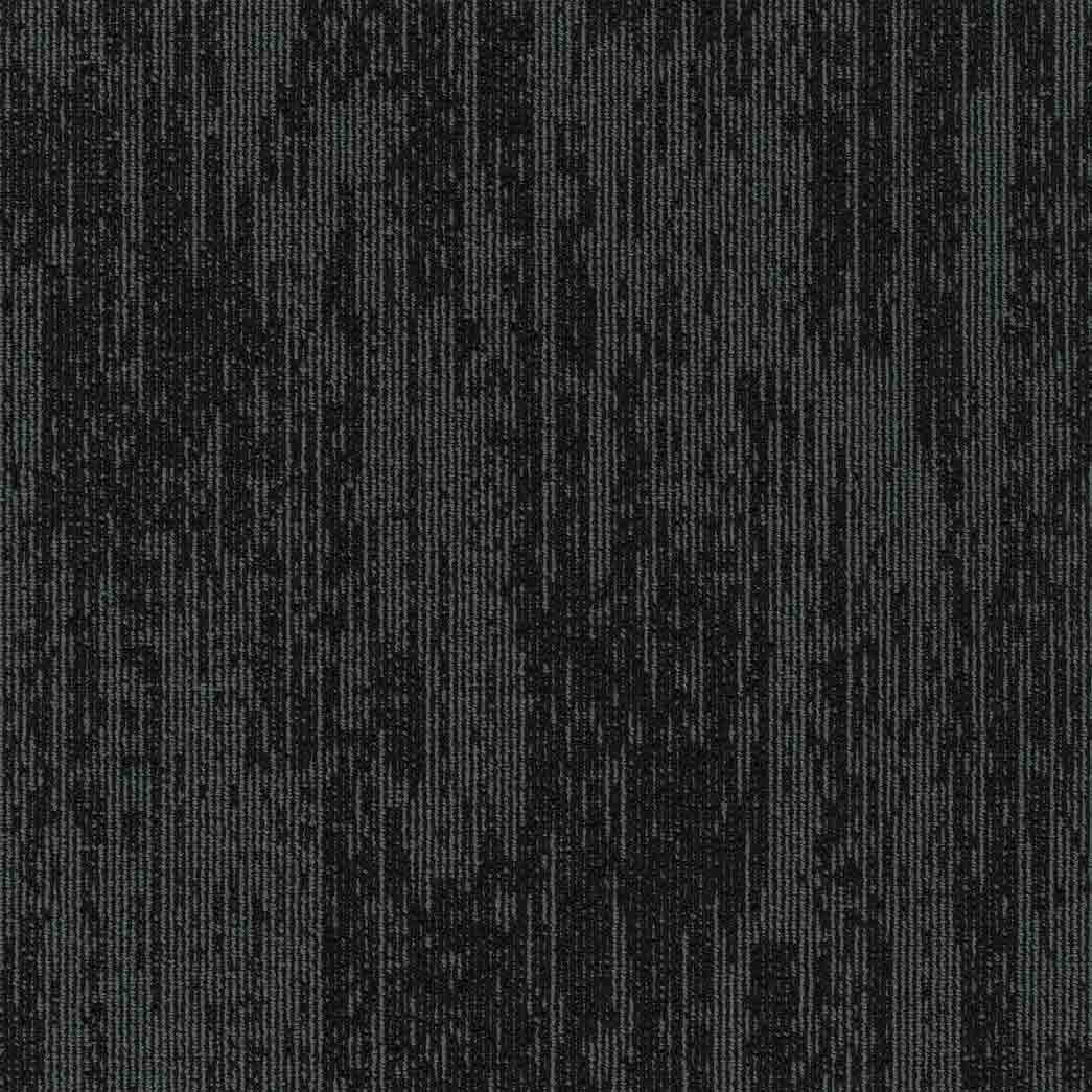 Pentz Carpet Tile Podcast 7553T Hosting 3538