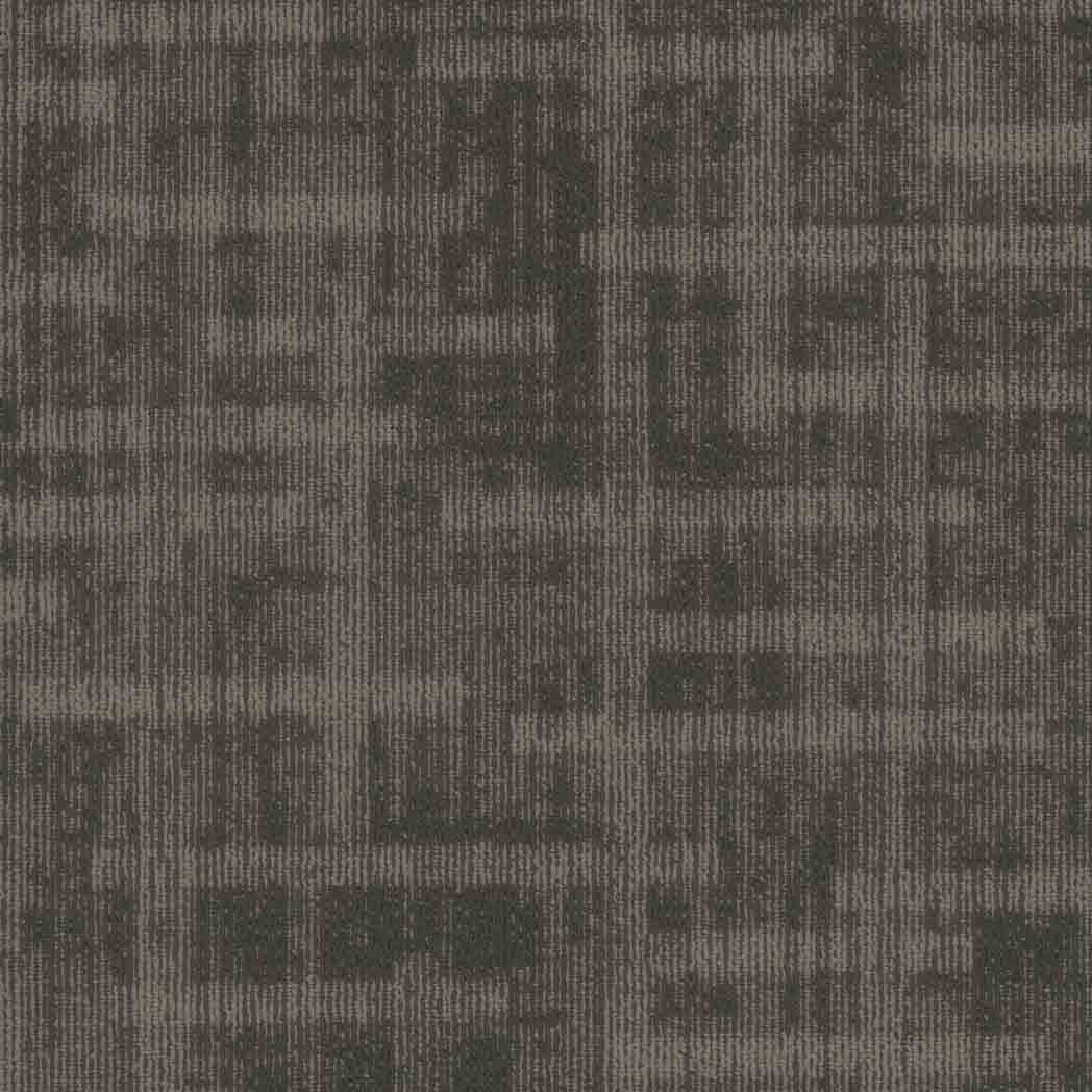 Pentz Carpet Tile Veritas 7911T Shoo-In 3396