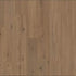 Pergo Laminate Freywood Springs PSR19 Hazelnut Hickory 258