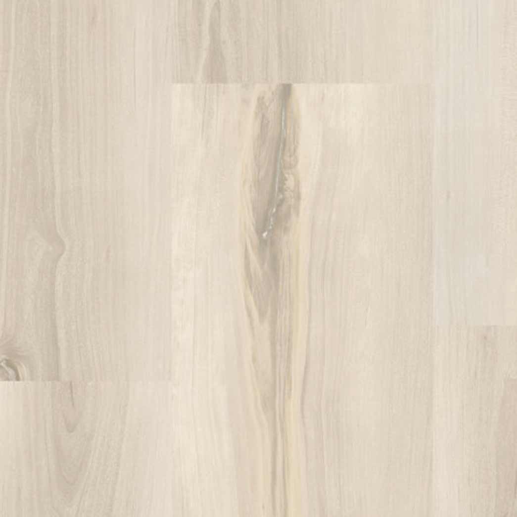 Progen XL 9x60 LVT Mirage XL Luna TAR270304003