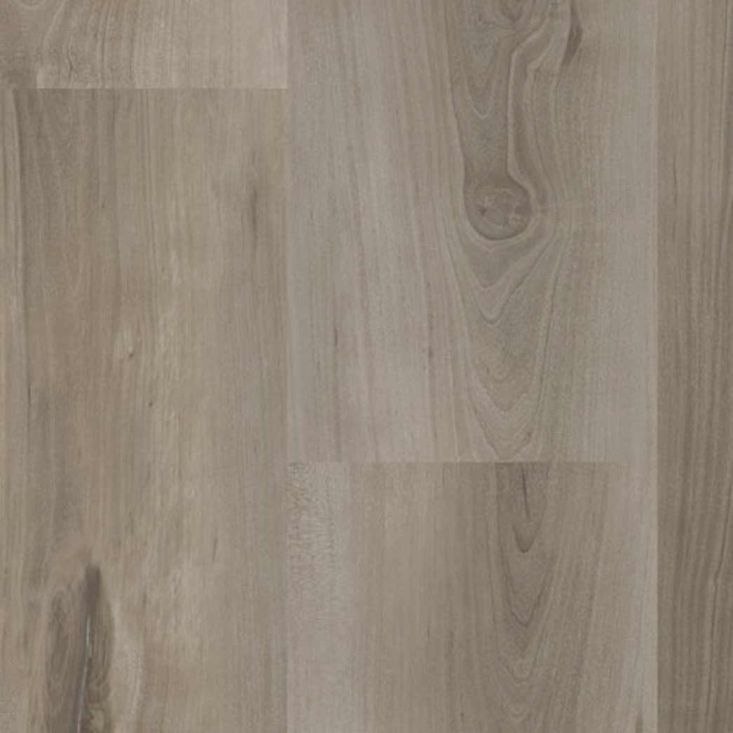 Progen XL 9x60 LVT Mirage XL Terre TAR270304005