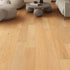 Provenza Floors Engineered Hardwood Opia Destiny PRO4003 room