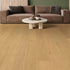 Provenza Floors Engineered Hardwood Opia Echo PRO4004 room