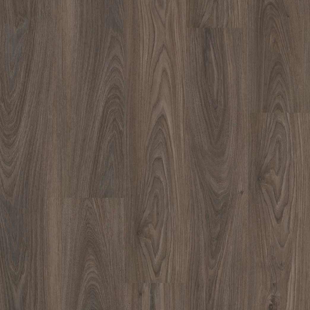 Shaw Ardent 5606V Dark Elm 00915