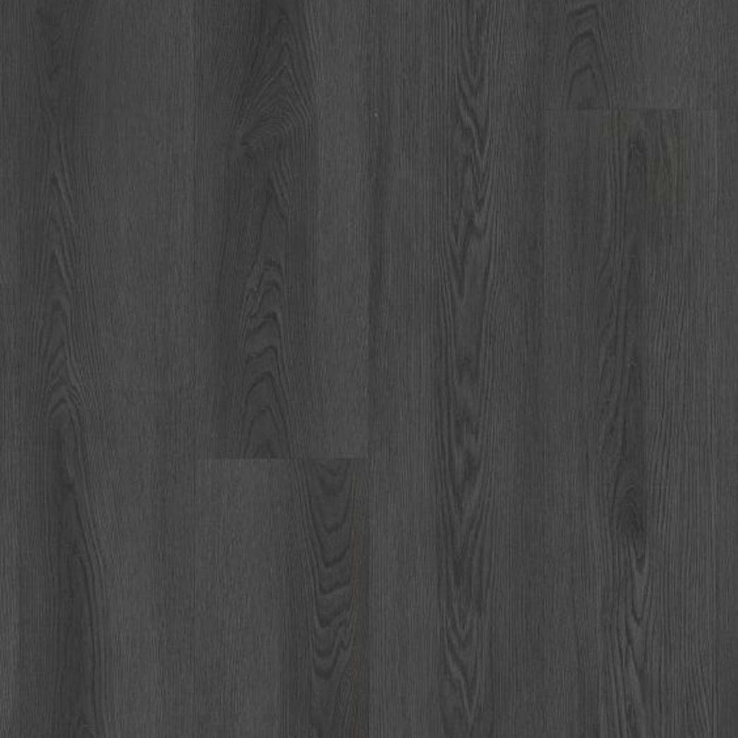 Shaw LVT Philosopher's Tree 5599V Igneous 00510