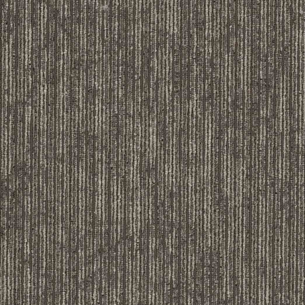 Shaw Philadelphia Commercial Carpet Tile Aim High 54996 Empower 00200