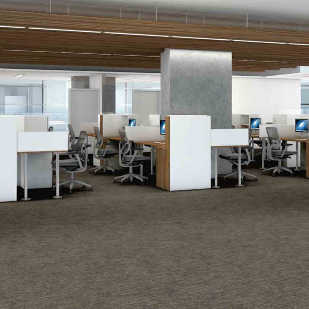 Shaw Philadelphia Commercial Carpet Tile Aim High 54996 Empower 00200 room