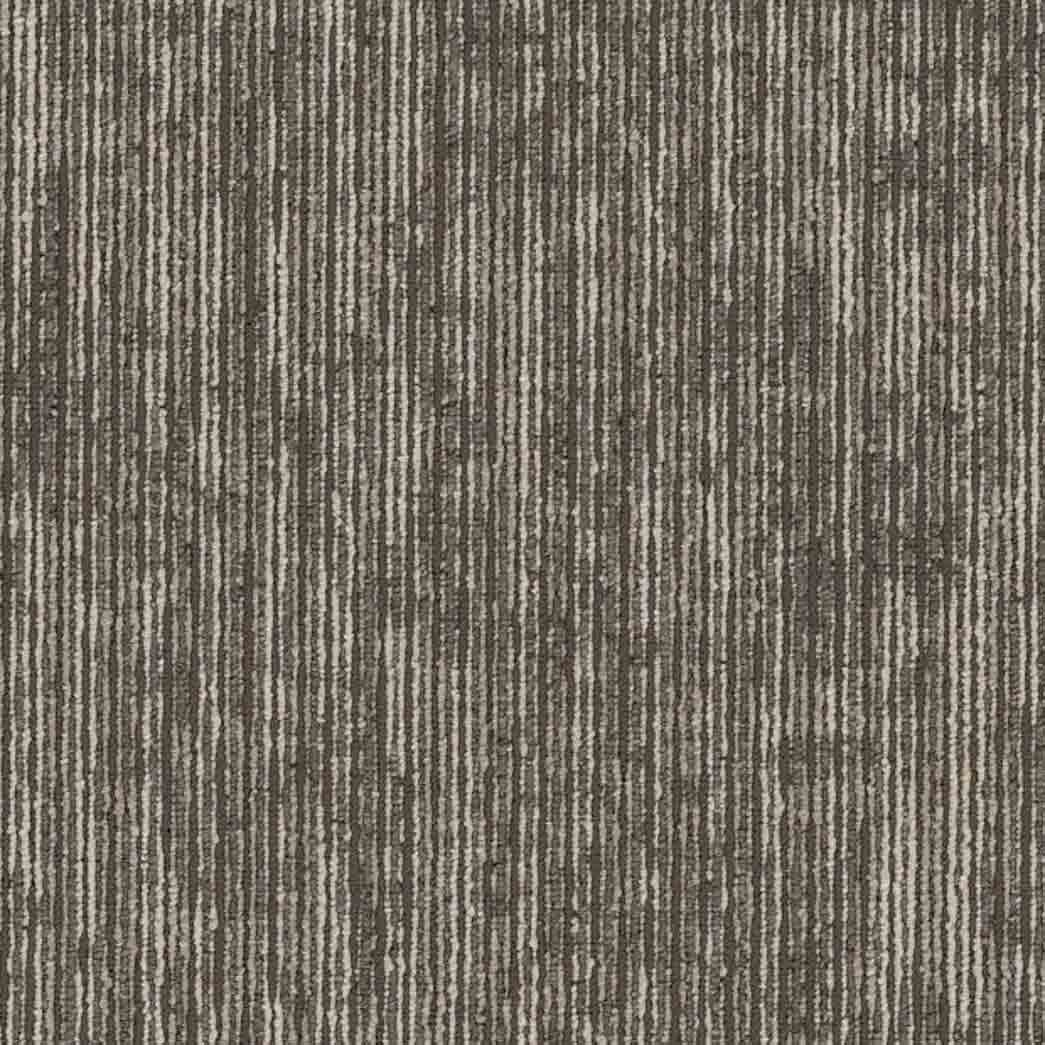 Shaw Philadelphia Commercial Carpet Tile Aim High 54996 Encourage 00100