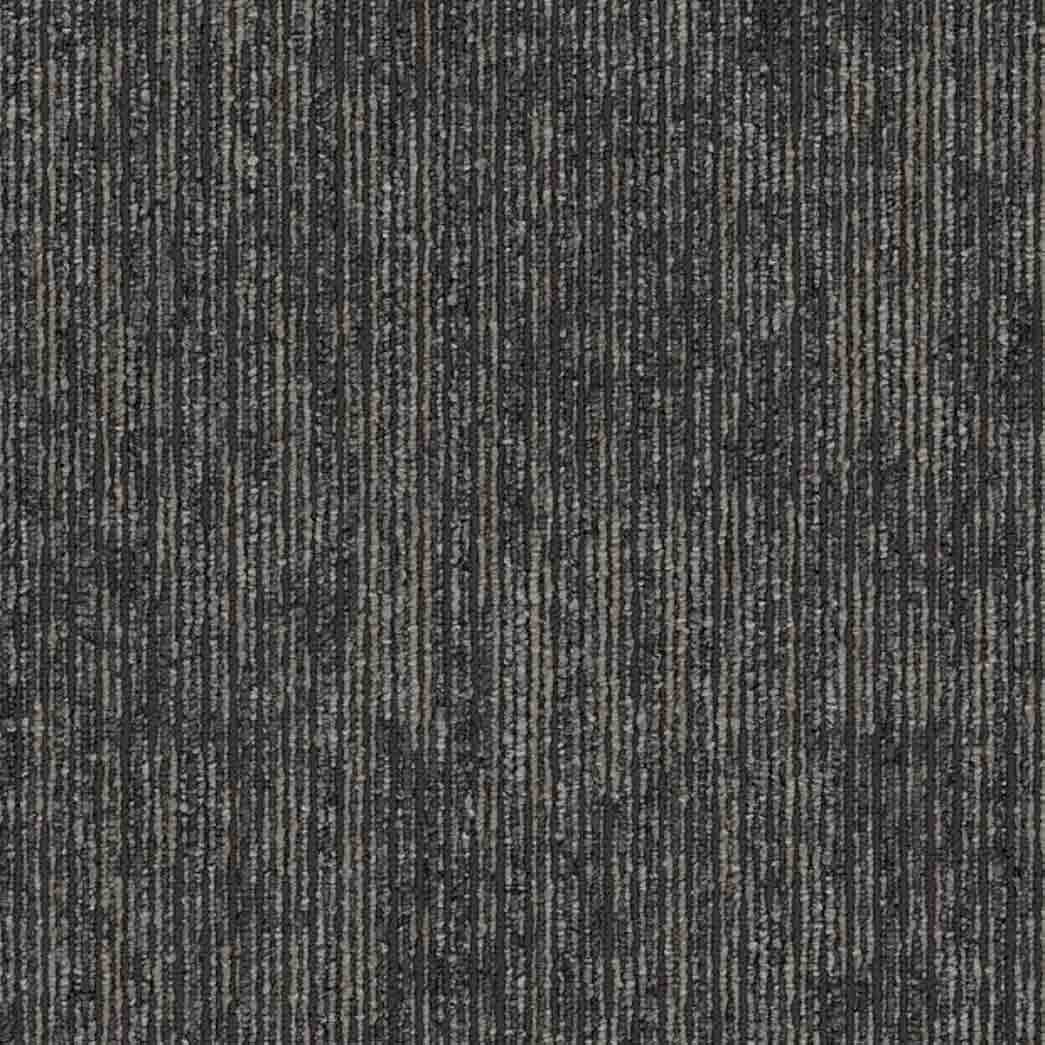 Shaw Philadelphia Commercial Carpet Tile Aim High 54996 Endurance 00500