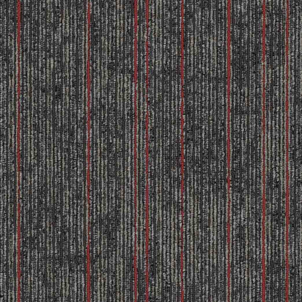 Shaw Philadelphia Commercial Carpet Tile Aim High 54996 Fortitude 00508