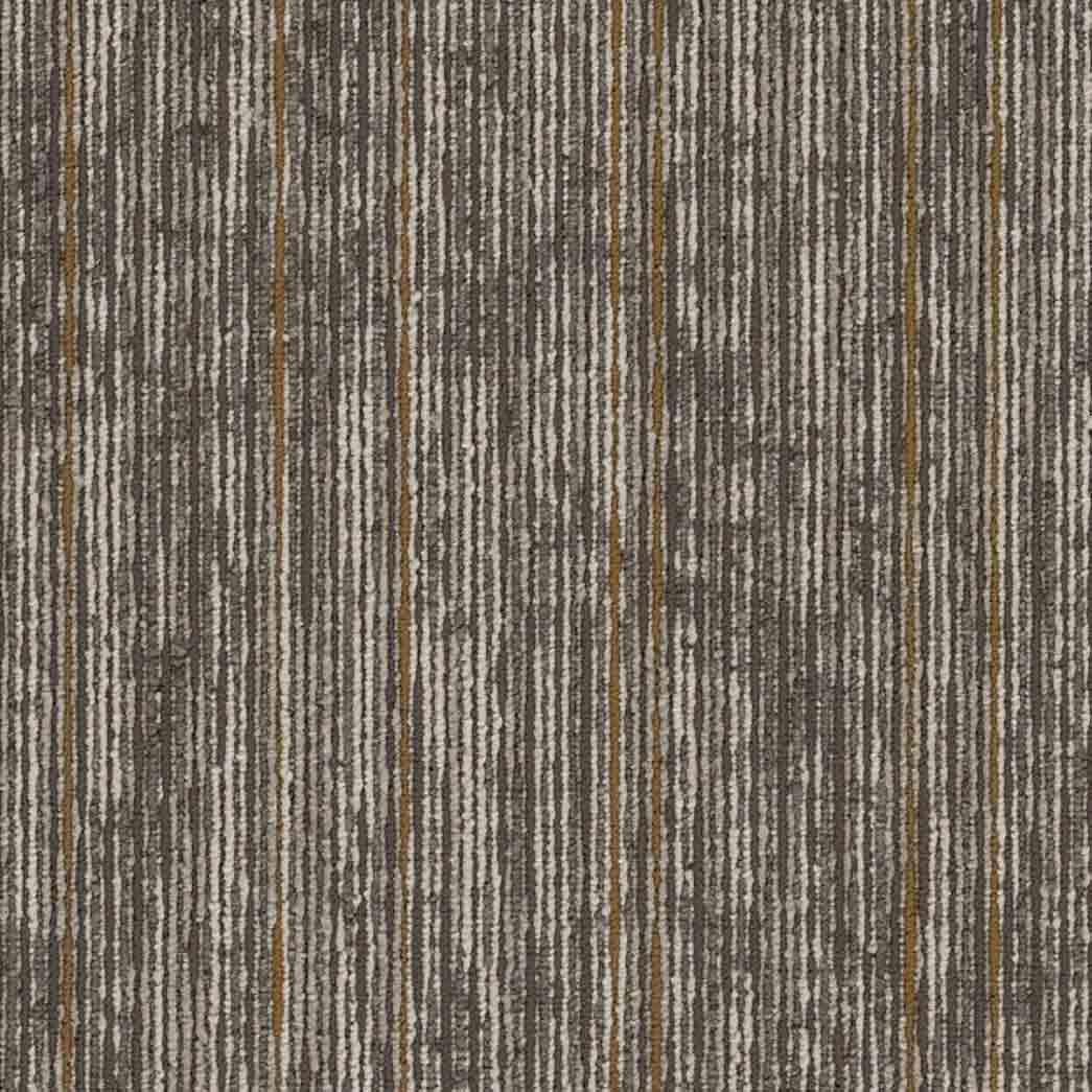 Shaw Philadelphia Commercial Carpet Tile Aim High 54996 Inspire 00102