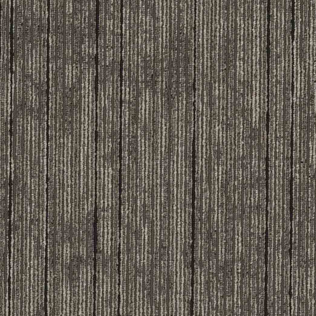 Shaw Philadelphia Commercial Carpet Tile Aim High 54996 Invest 00205