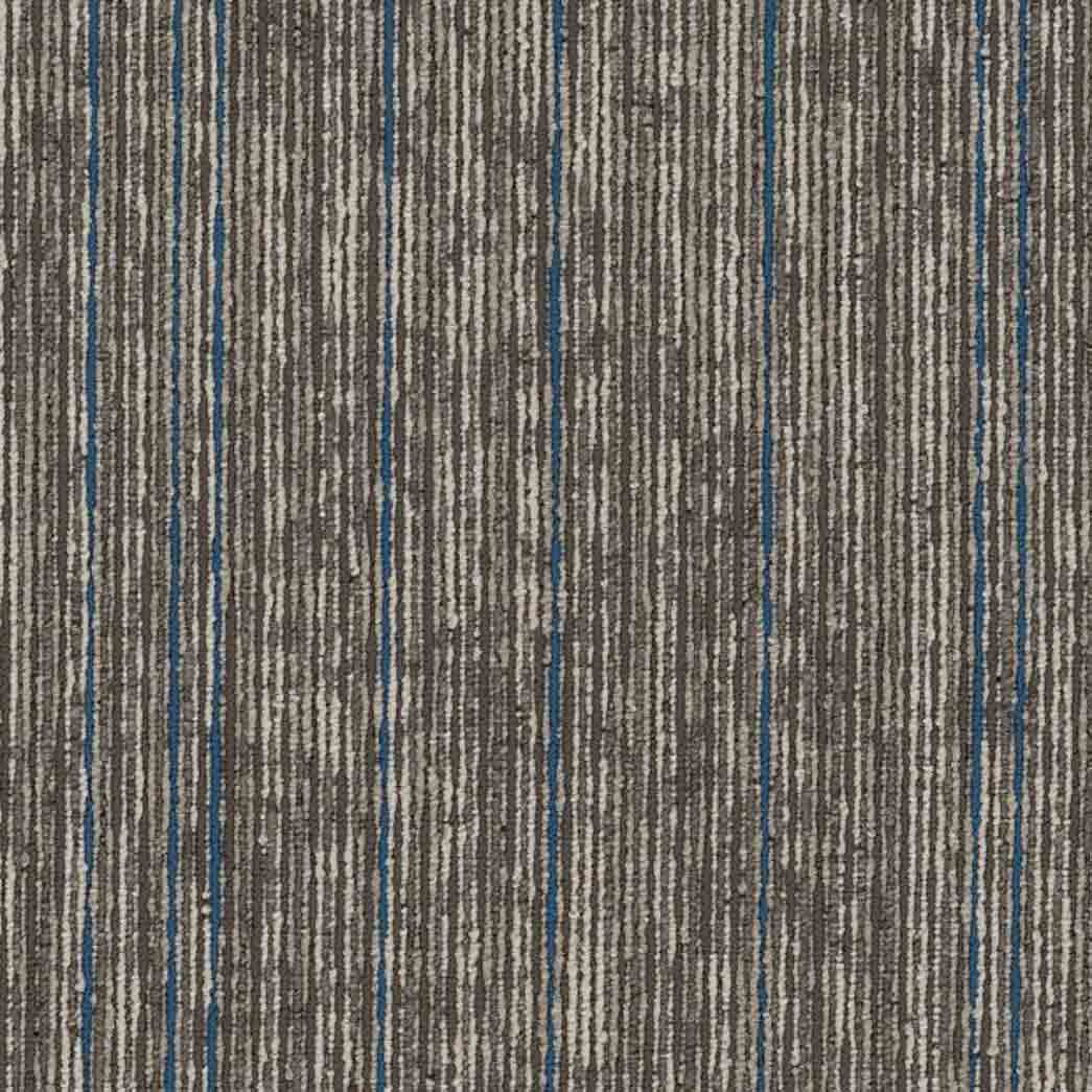 Shaw Philadelphia Commercial Carpet Tile Aim High 54996 Magnify 00104
