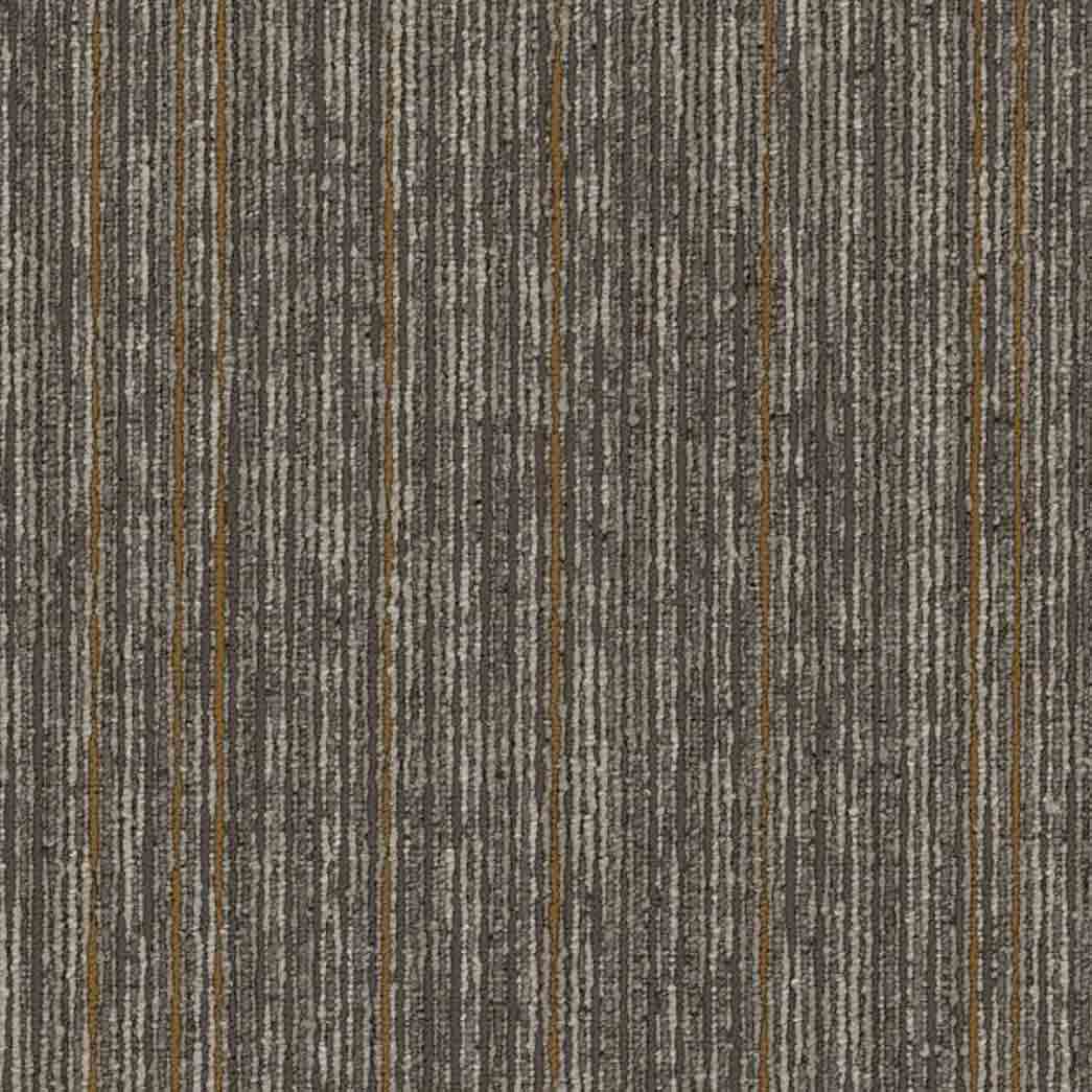 Shaw Philadelphia Commercial Carpet Tile Aim High 54996 Motivate 00202