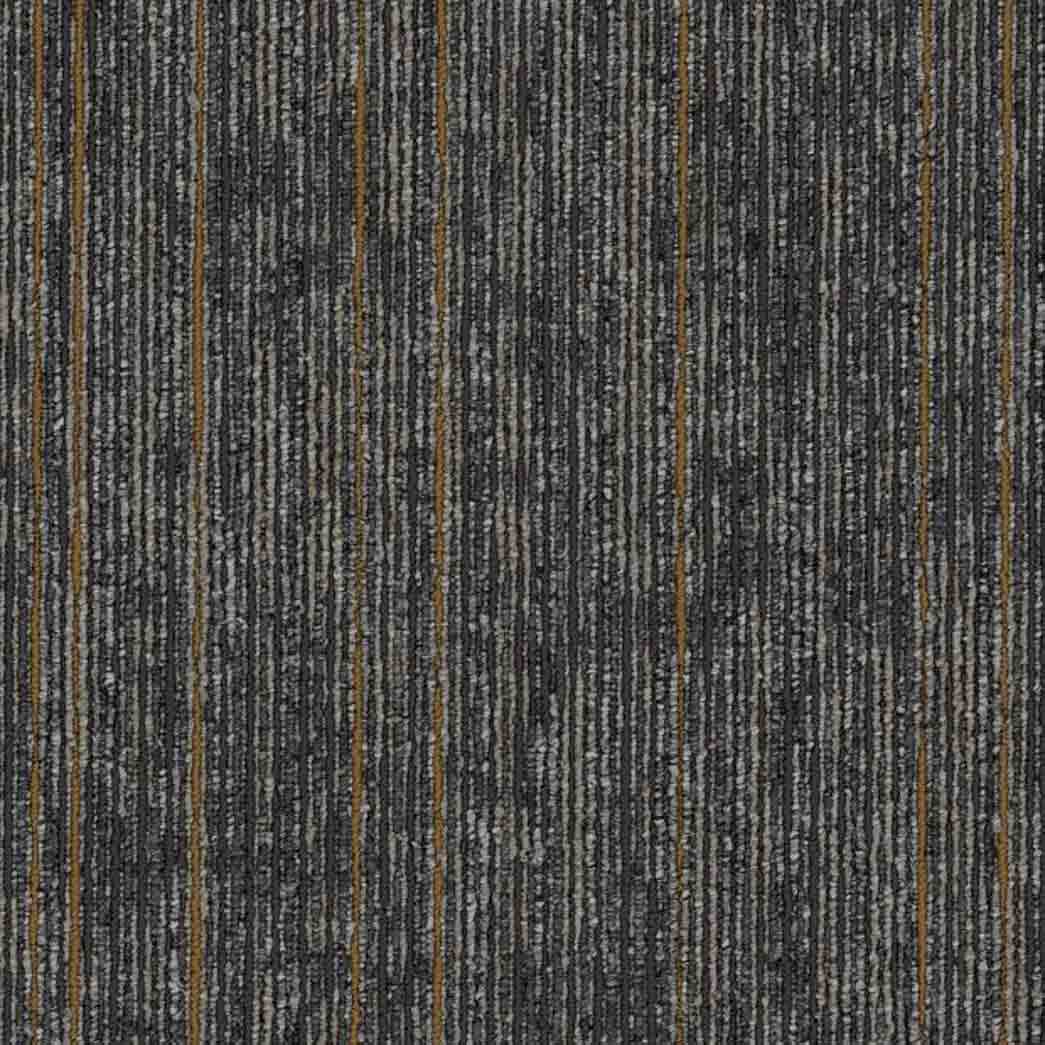 Shaw Philadelphia Commercial Carpet Tile Aim High 54996 Persist 00502