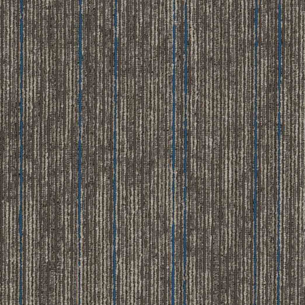 Shaw Philadelphia Commercial Carpet Tile Aim High 54996 Support 00204