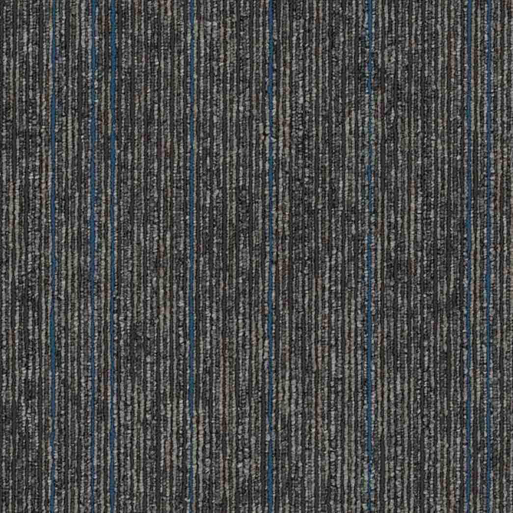 Shaw Philadelphia Commercial Carpet Tile Aim High 54996 Sustain 00504