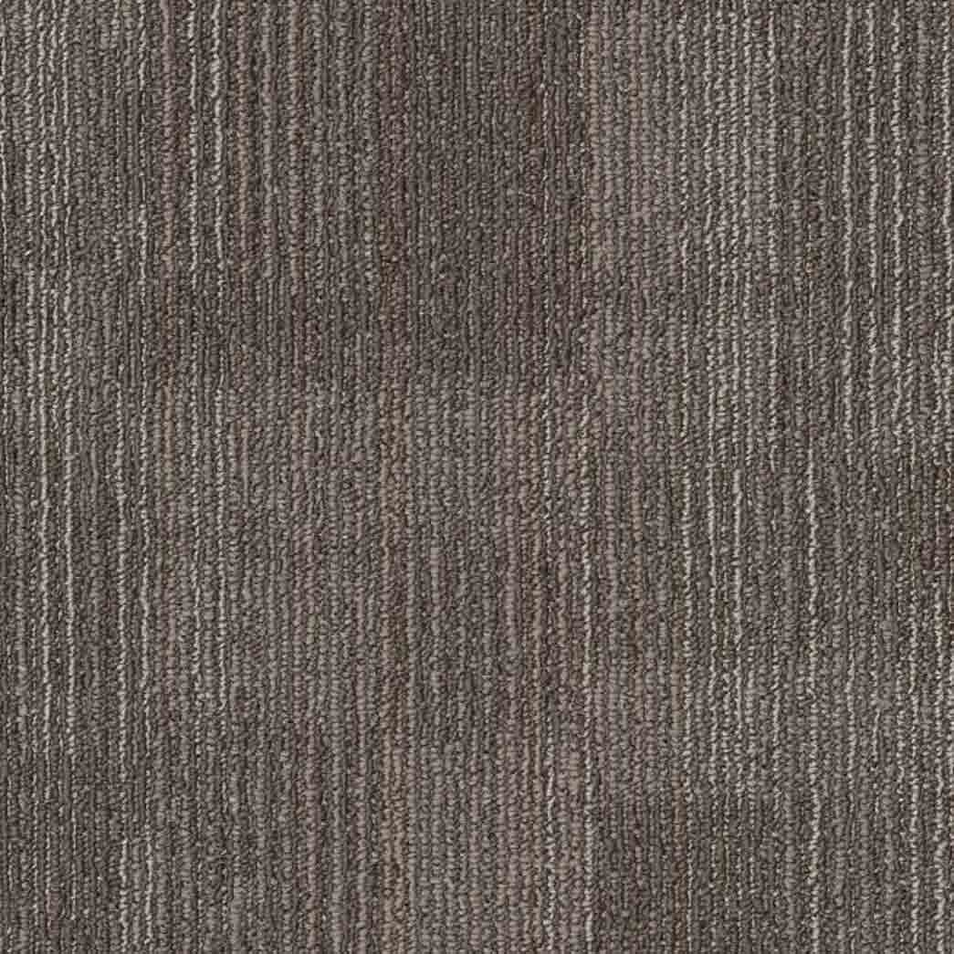 Shaw Philadelphia Commercial Carpet Tile Ascension 54973 Recast 00700