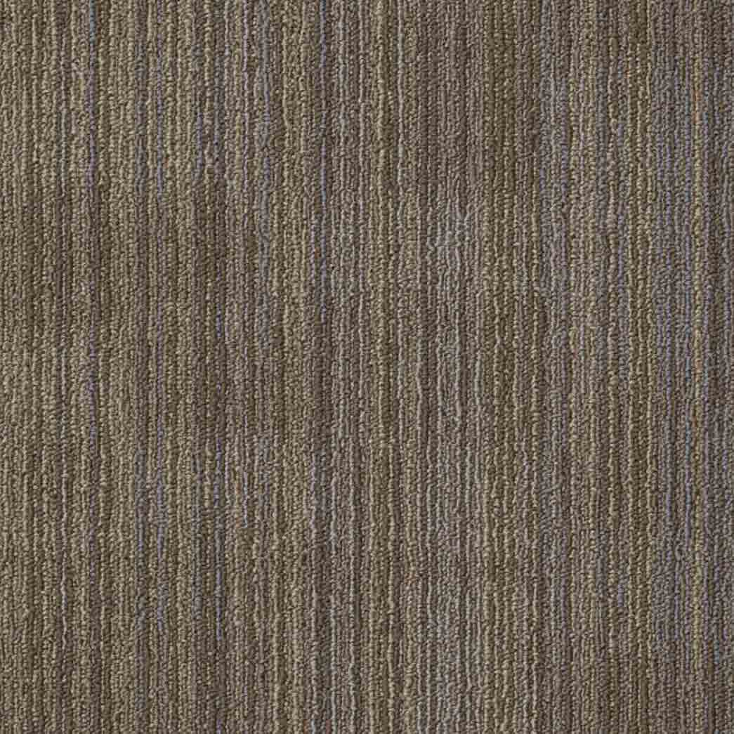 Shaw Philadelphia Commercial Carpet Tile Ascension 54973 Recreate 00204