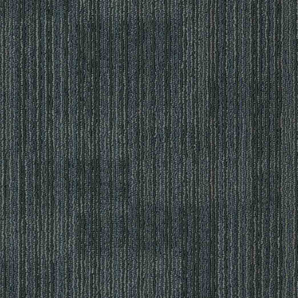 Shaw Philadelphia Commercial Carpet Tile Ascension 54973 Reprise 00300