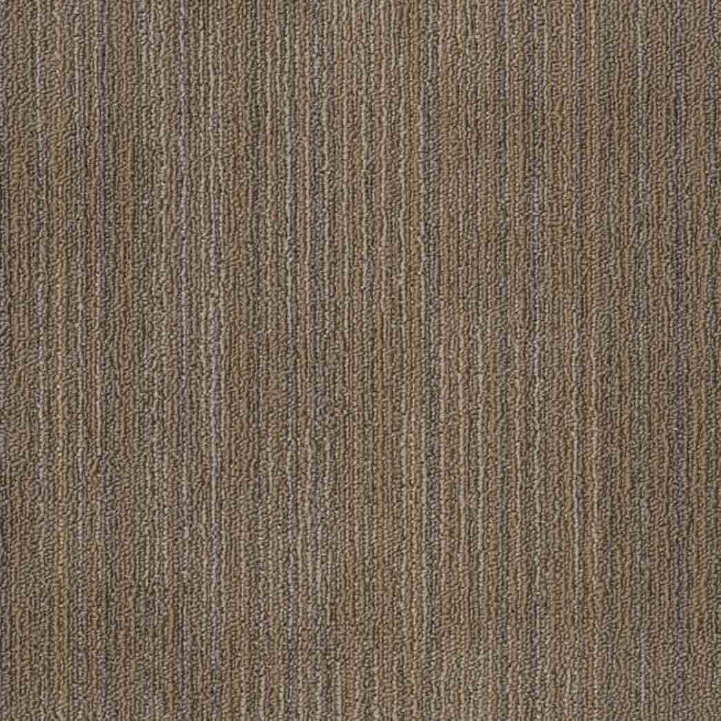 Shaw Philadelphia Commercial Carpet Tile Ascension 54973 Rework 00208