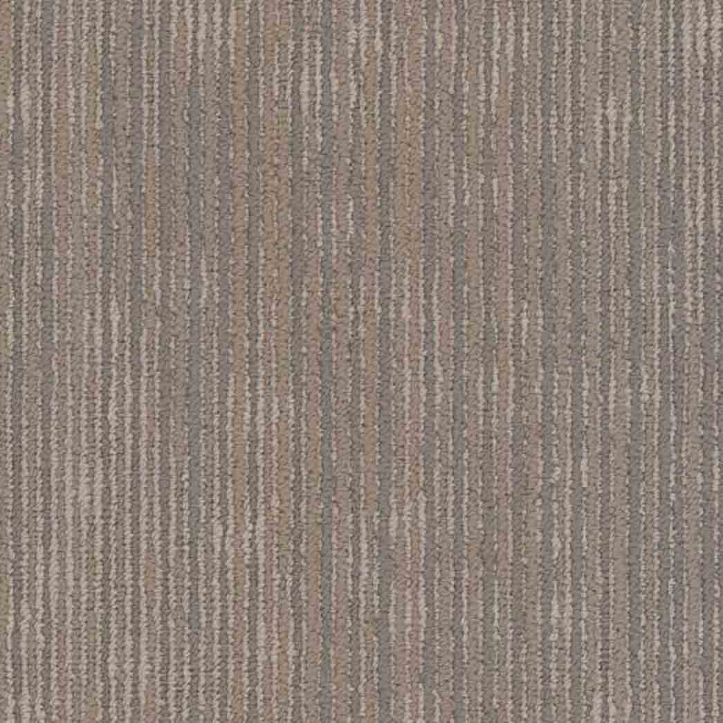 Shaw Philadelphia Commercial Carpet Tile Cipher 54925 Ai 00104