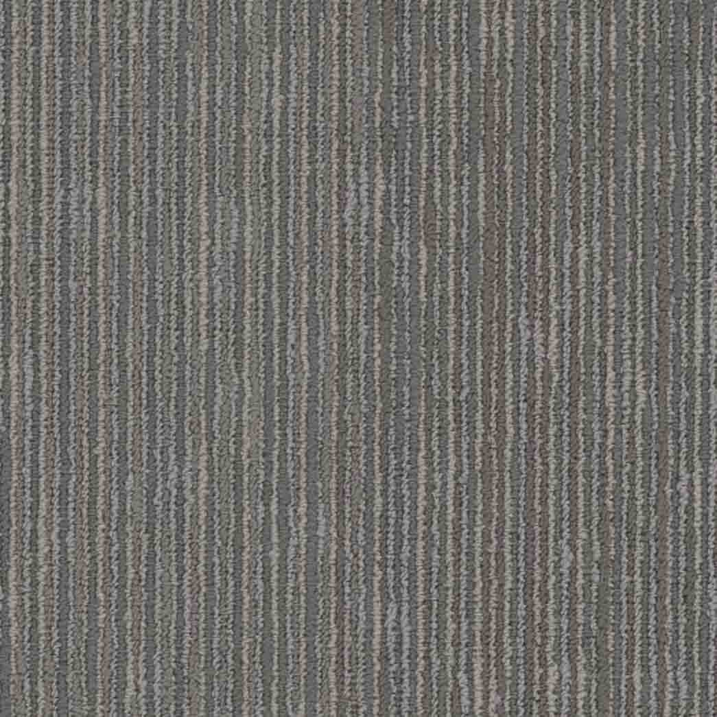 Shaw Philadelphia Commercial Carpet Tile Cipher 54925 Code 00502