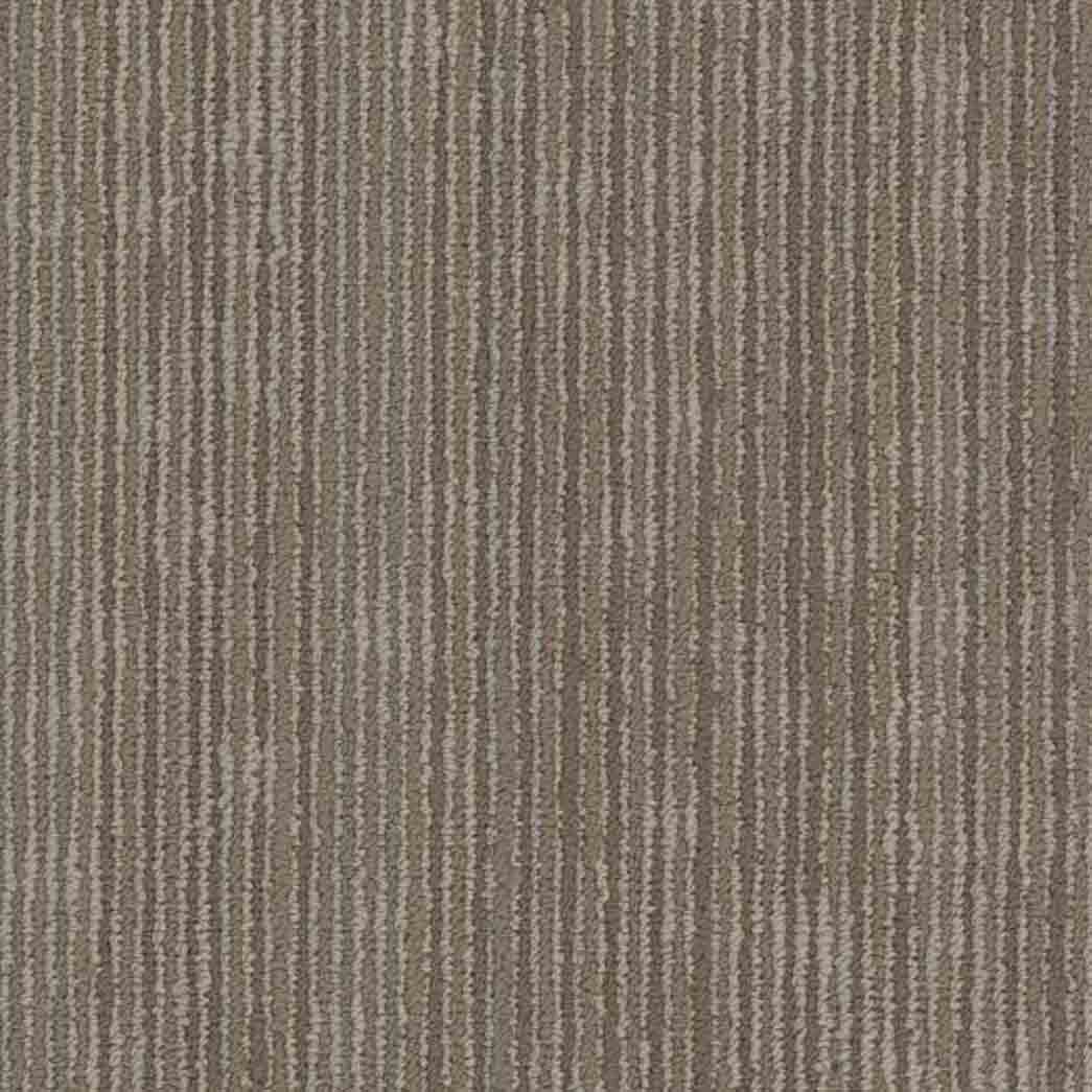 Shaw Philadelphia Commercial Carpet Tile Cipher 54925 Cyber 00210