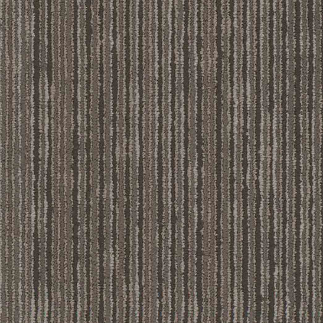 Shaw Philadelphia Commercial Carpet Tile Cipher 54925 Digital 00700