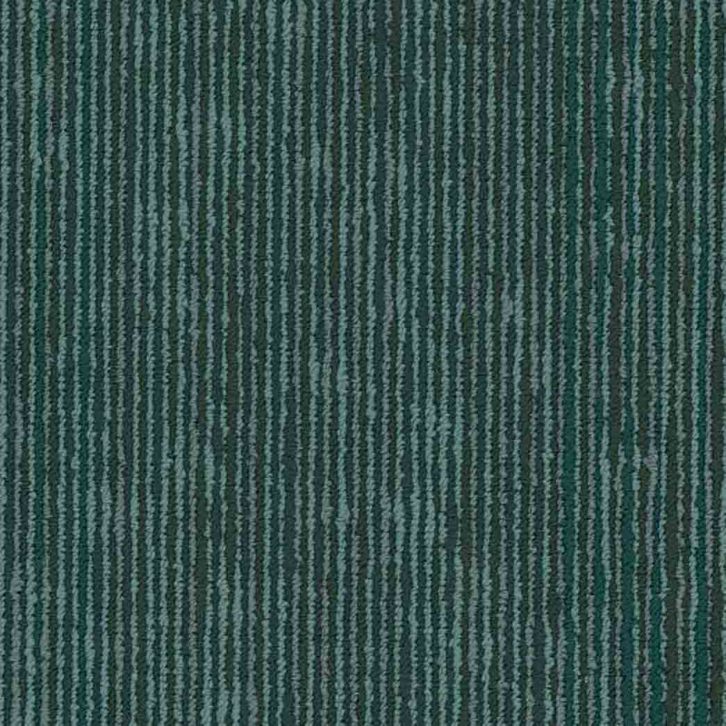 Shaw Philadelphia Commercial Carpet Tile Cipher 54925 Hologram 00300