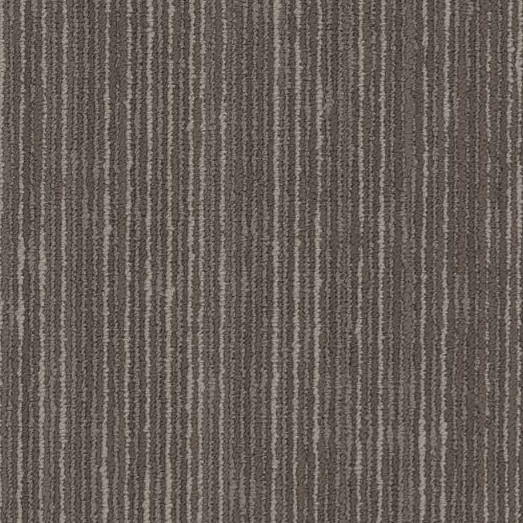 Shaw Philadelphia Commercial Carpet Tile Cipher 54925 Identity 00708