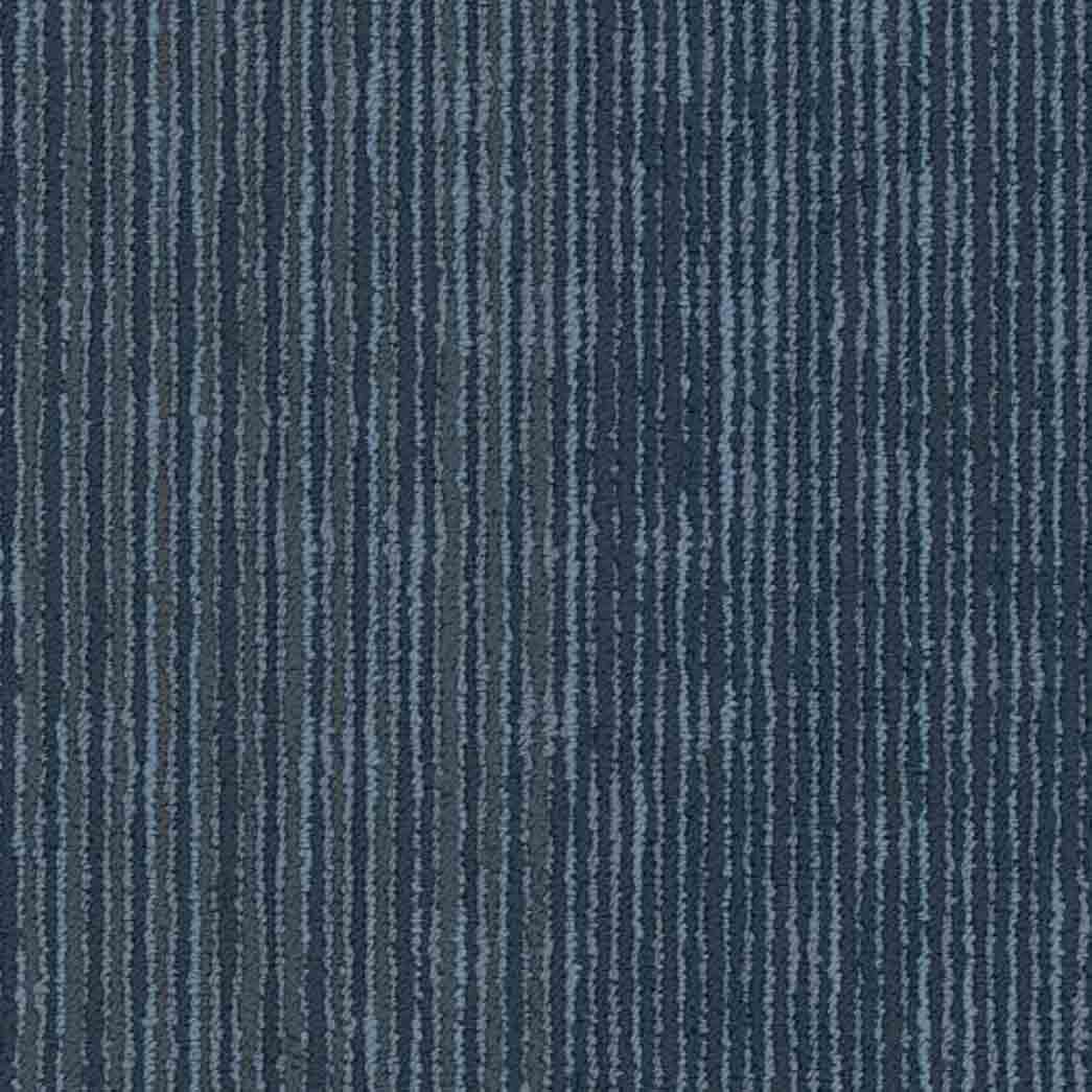 Shaw Philadelphia Commercial Carpet Tile Cipher 54925 Metrics 00400