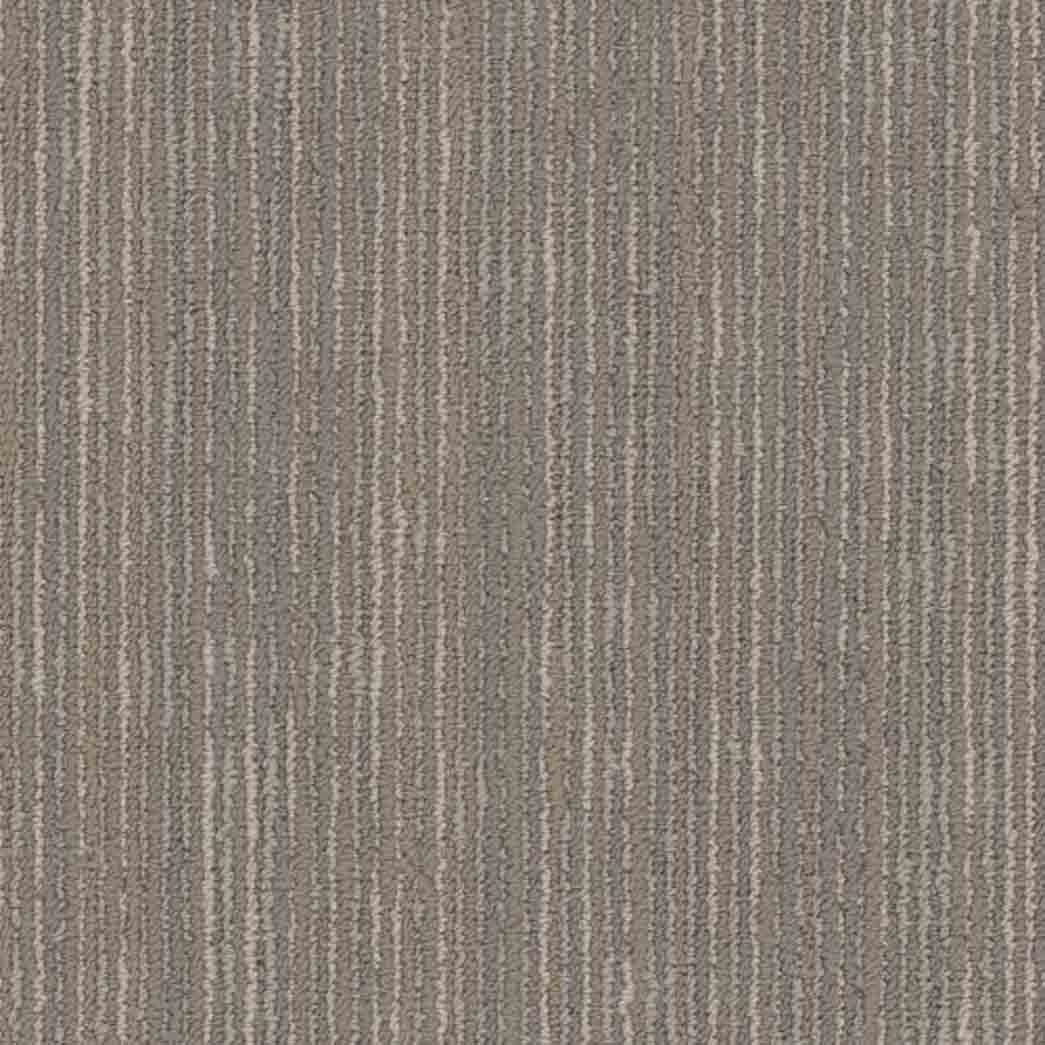 Shaw Philadelphia Commercial Carpet Tile Cipher 54925 Symbols 00500