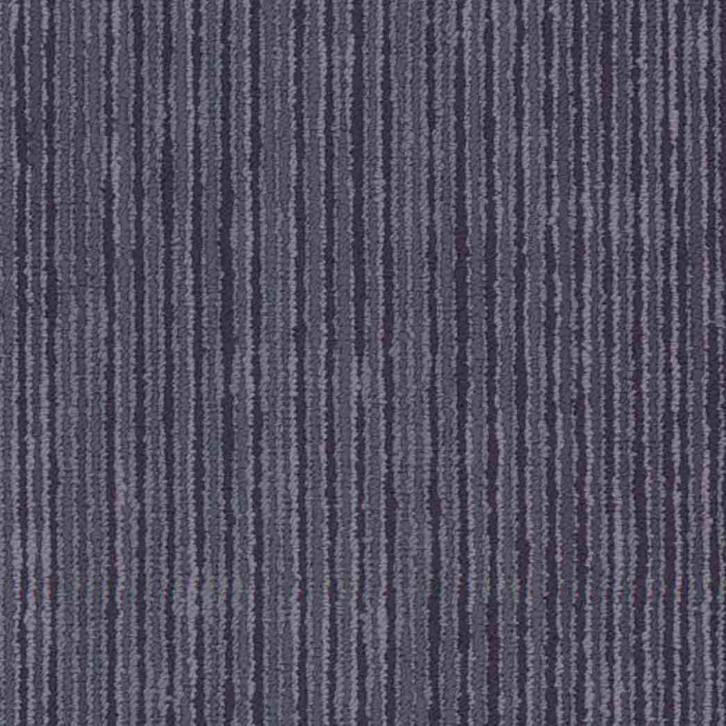 Shaw Philadelphia Commercial Carpet Tile Cipher 54925 Techno 00900