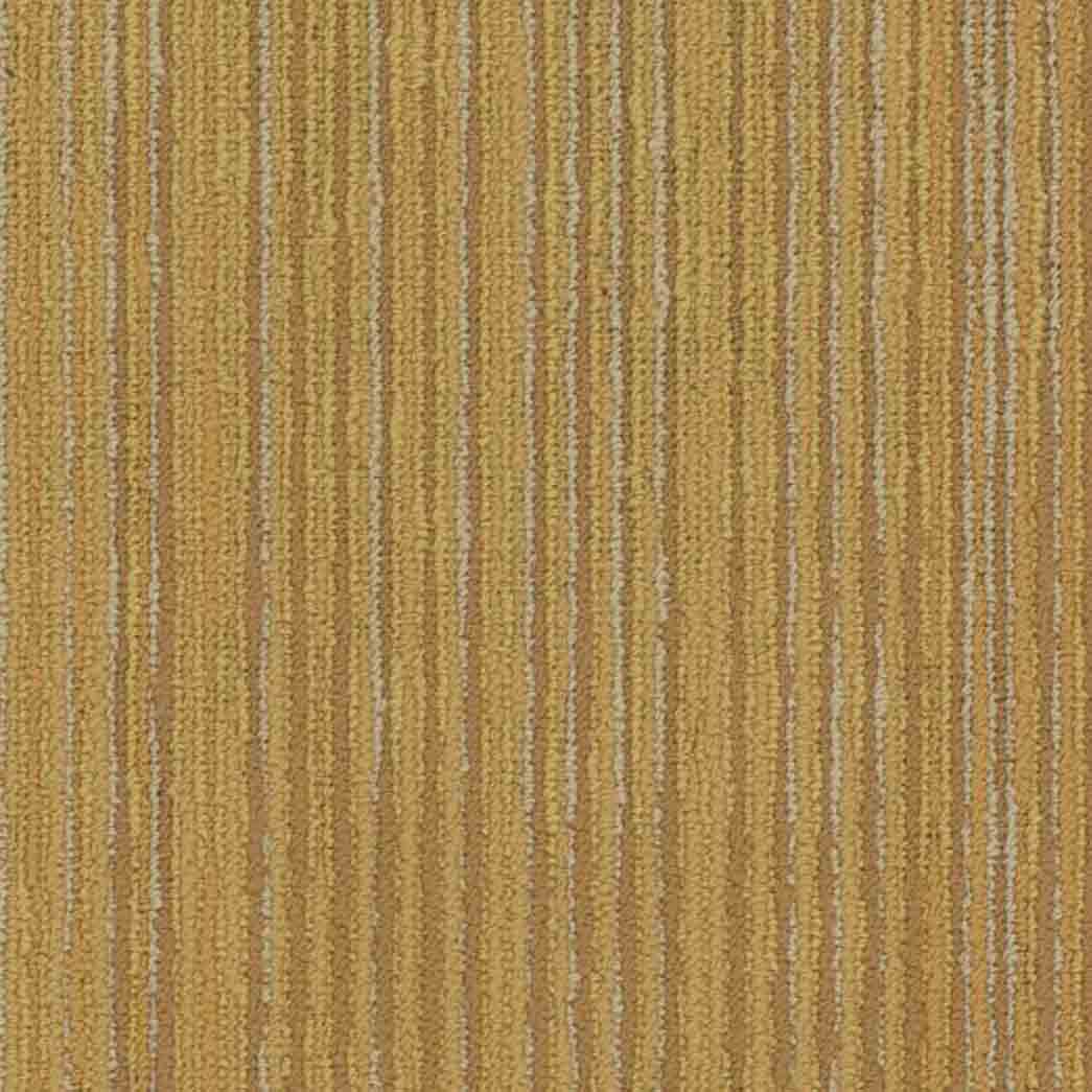 Shaw Philadelphia Commercial Carpet Tile Cipher 54925 Vector 00200