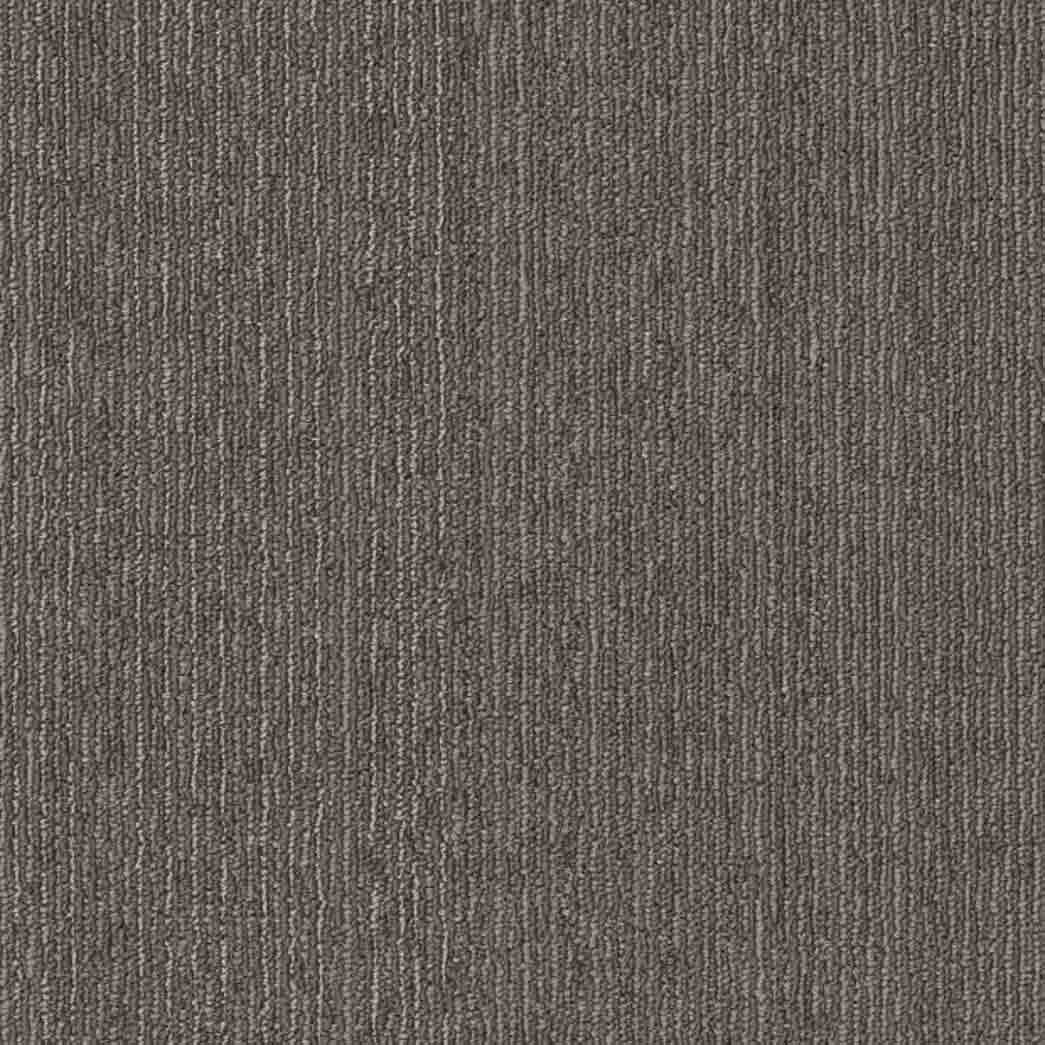 Shaw Philadelphia Commercial Carpet Tile Conversion 54974 Recast 00700