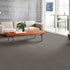 Shaw Philadelphia Commercial Carpet Tile Conversion 54974 Recast 00700 room