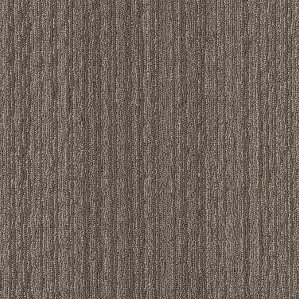 Shaw Philadelphia Commercial Carpet Tile Conversion 54974 Recreate 00204