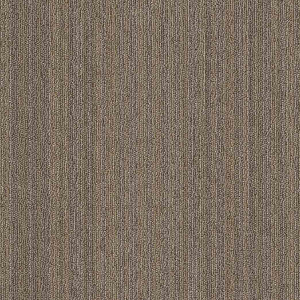 Shaw Philadelphia Commercial Carpet Tile Conversion 54974 Rework 00208