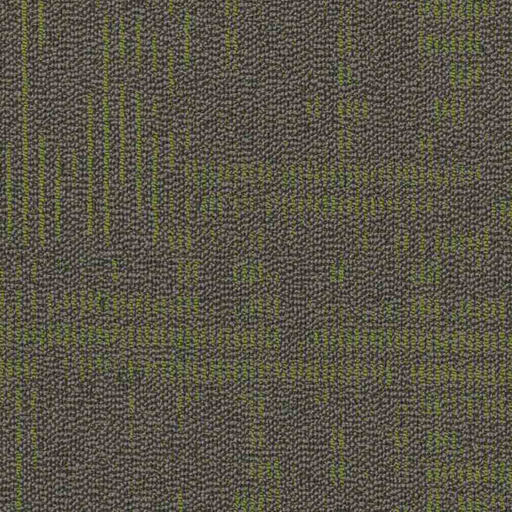 Shaw Philadelphia Commercial Carpet Tile Curious Wonder 54940 Amazement 40200