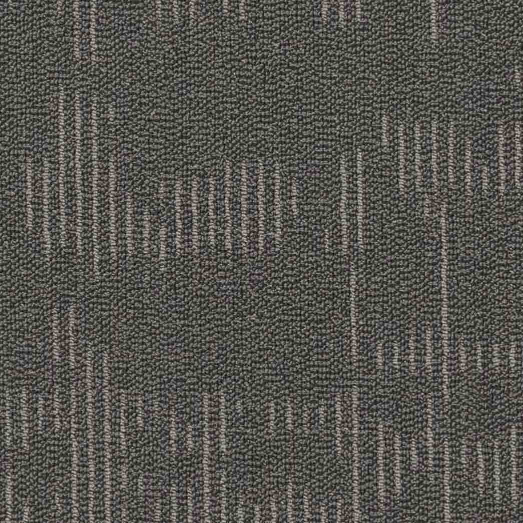 Shaw Philadelphia Commercial Carpet Tile Curious Wonder 54940 Collectibles 40500