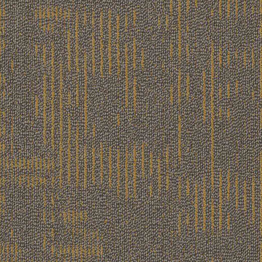 Shaw Philadelphia Commercial Carpet Tile Curious Wonder 54940 Delight 40200