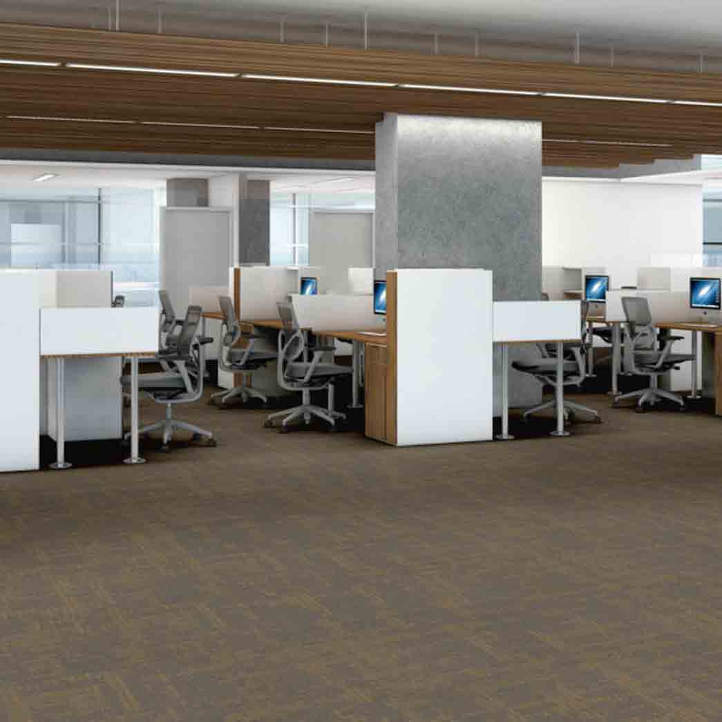 Shaw Philadelphia Commercial Carpet Tile Curious Wonder 54940 Delight 40200 room