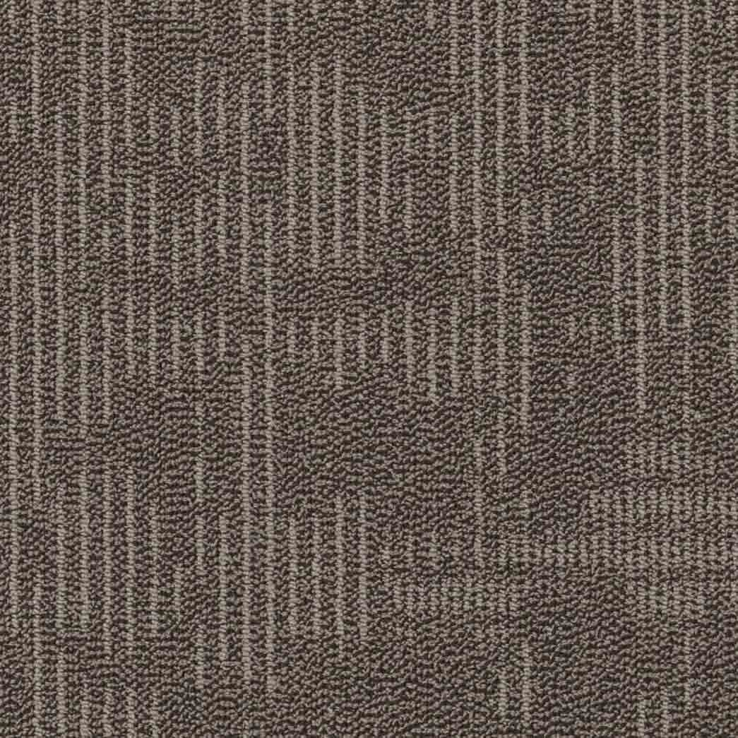 Shaw Philadelphia Commercial Carpet Tile Curious Wonder 54940 Esoteric 40705